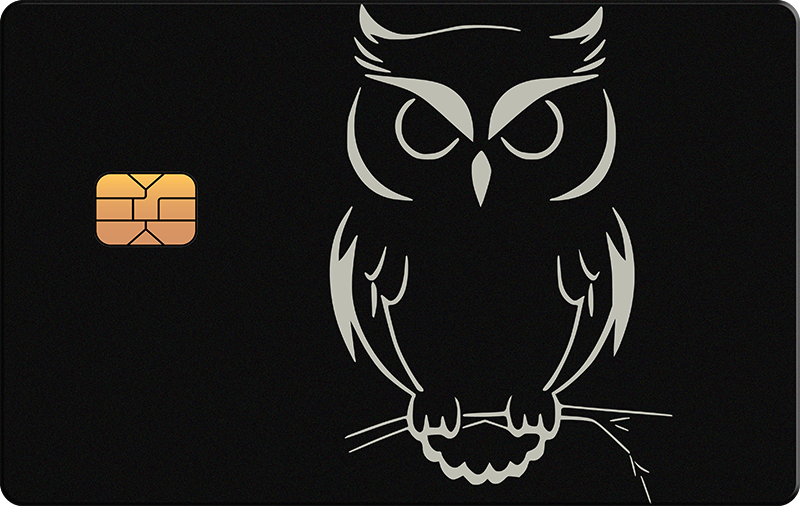 Owl 2